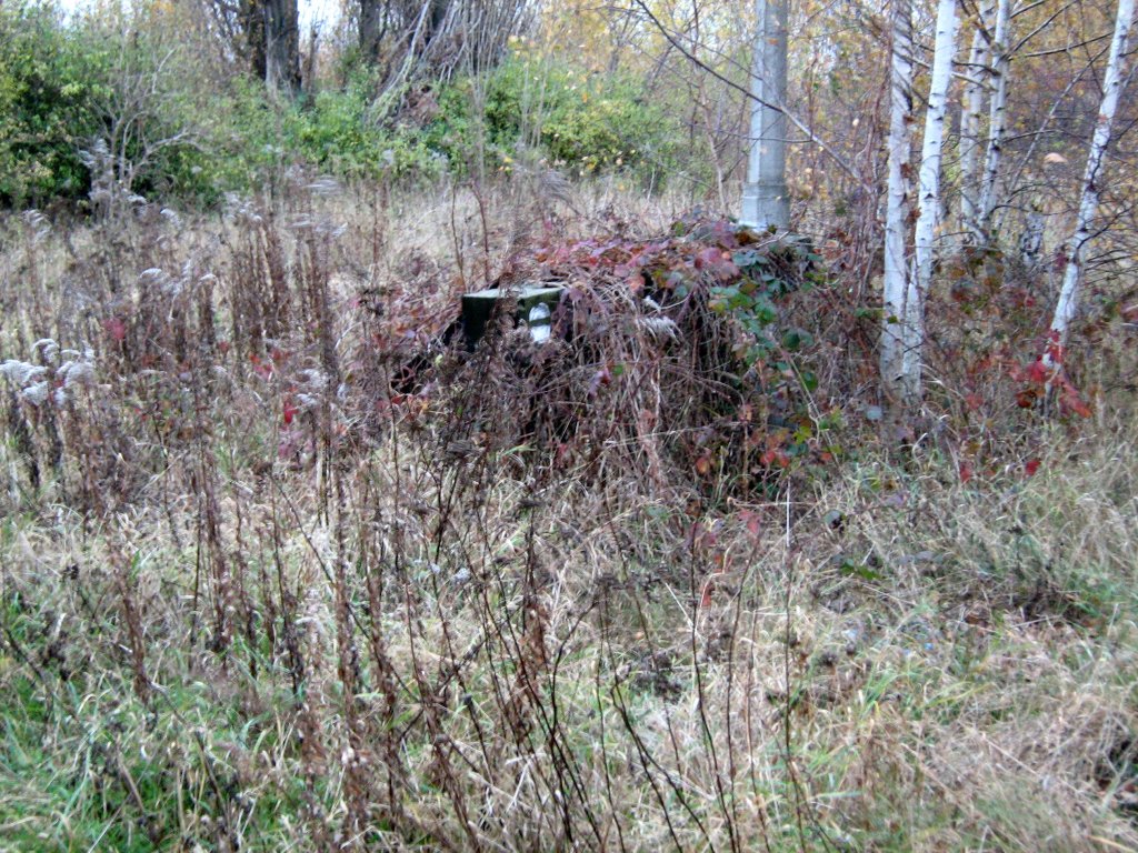08-11-2011 Die Natur holt sich wieder, was ihr einst genommen - Prellbock im abgerissenen BW Bautzen