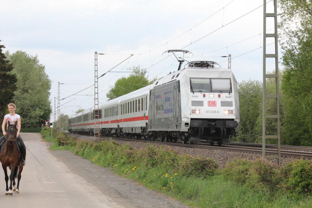 101 028 (800 Jahre Sachsen-Anhalt) mit dem InterCity 2151 nach Dresden. Hier in Bonnenburg bei Warburg Westfahlen.