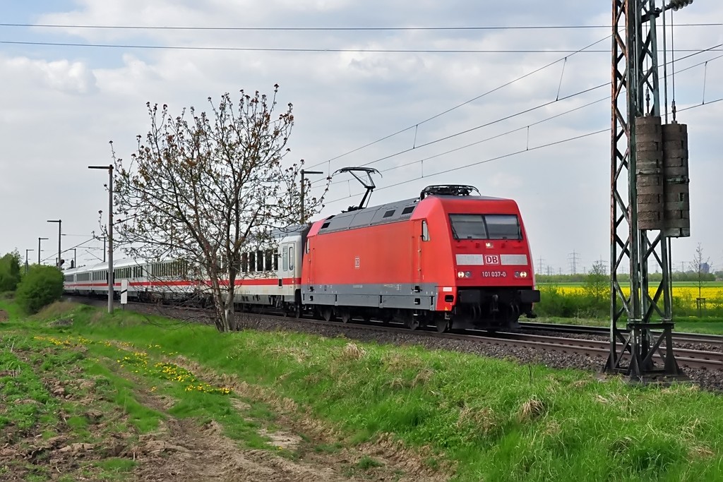 101 037-0 IC kurz hinter Brhl Richtung Bonn - 15.04.2011