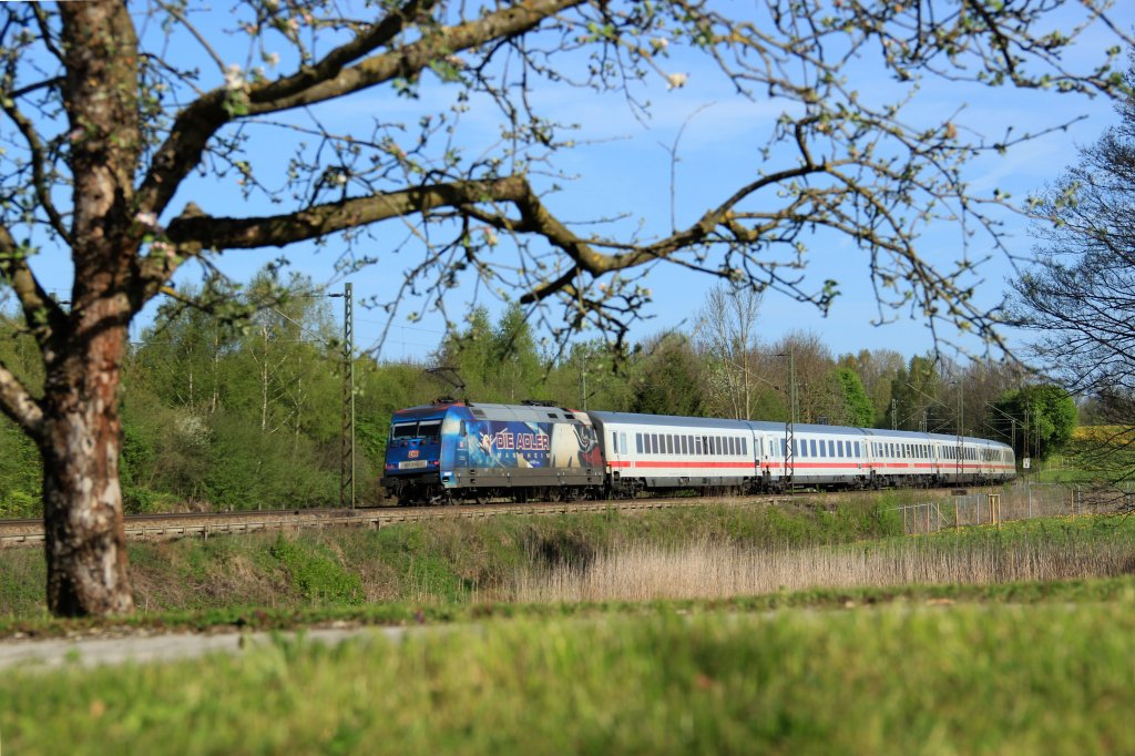 101 070-1  Adler Mannheim  schiebt einen EC in Richtung Mnchen.
Haus, 28.04.12
