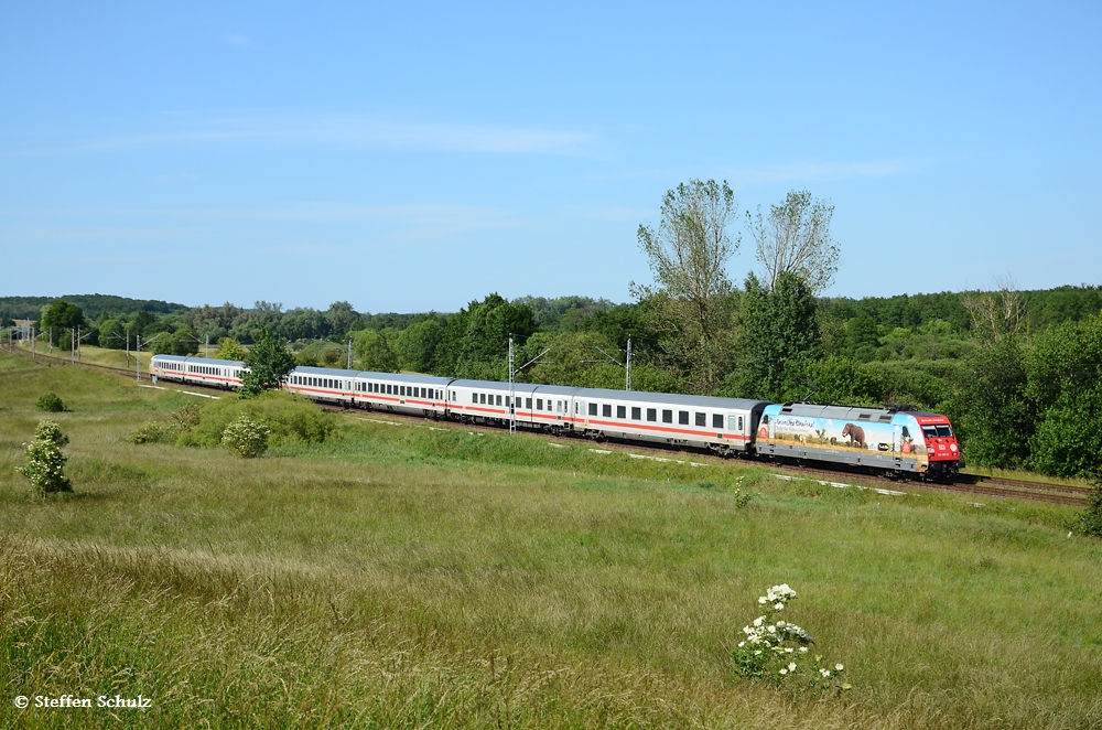 101 087 mit InterCity auf dem Weg nach Hamburg. Aufgenommen am 21.06.12 in Plchow.