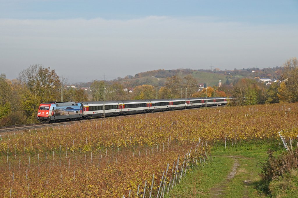 101 118-8  Packendes Sdafrika  zieht den EC 7 Hamburg-Altona - Chur/CH am 09.11.12 noch durch die Weinberge bei Bad Bellingen, whrend es heute bereits durch den Katzenbergtunnel geht.