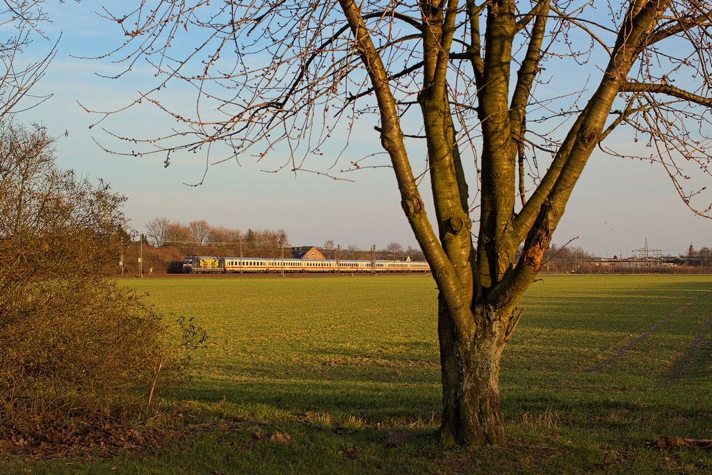 101 141 war am 26.3.2013 am IC 134 und 137. Letzterer fhrt hier im Abendlicht durch Langenfeld wenige Kilometer vor der Dsseldorfer Stadtgrenze