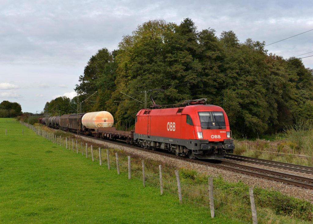 1016 008 mit einem Gterzug am 13.10.2012 unterwegs am B Vogl.