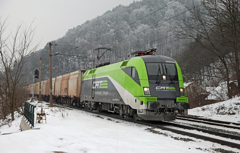 1016 014 zieht am 24.01.2013 einen Gterzug durch die Haltestelle Schlgmhl.