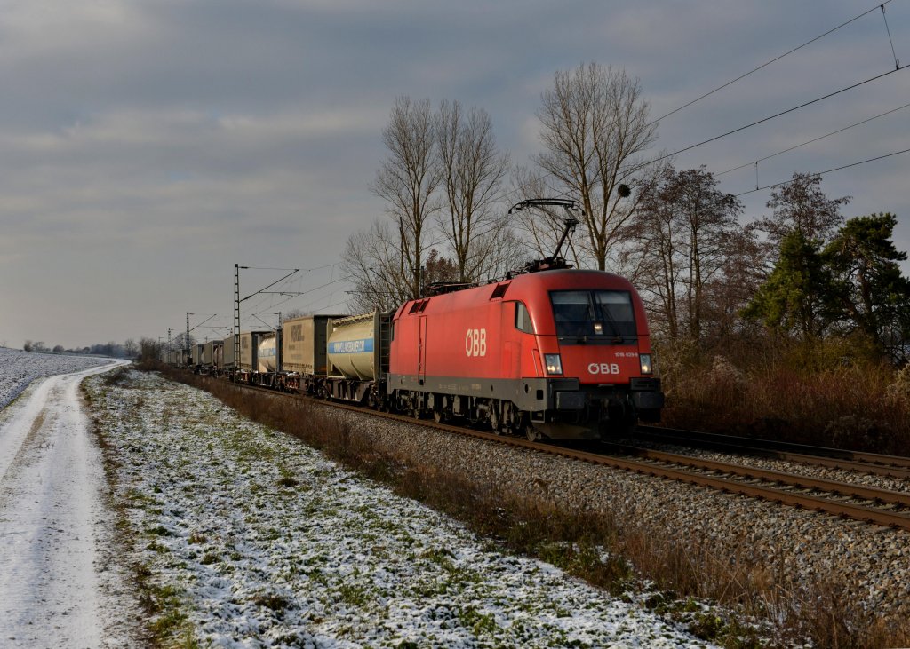 1016 029 mit einem KLV am 08.12.2012 unterwegs bei Langenisarhofen.