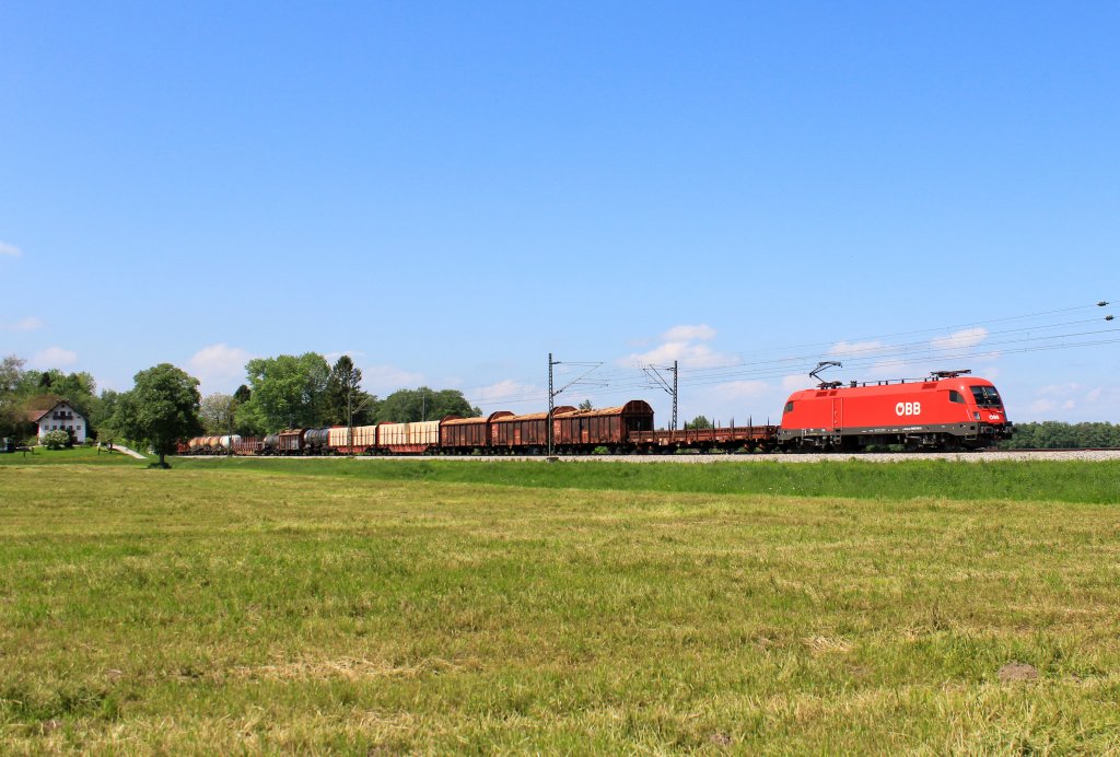 1016 040 mit dem 45809 von Mnchen nach Villach. Aufgenomman am 18. Mai bei bersee.