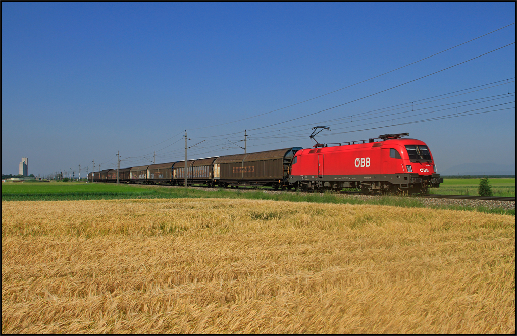 1016.022 mit Gterzug am 17.06.13 kurz nach Ober-Eggendorf Richtung Ebenfurth.