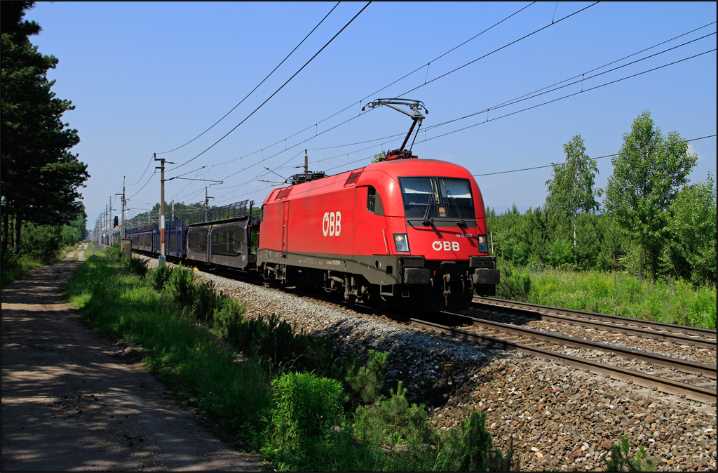 1016.024 fuhr am 18.06.13 mit GEFCO Leerzug durch St.Egyden Ri. Wr.Neustadt.

