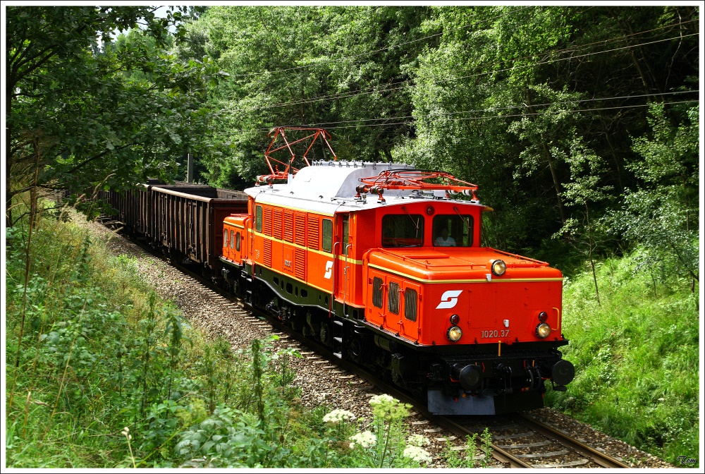 1020 037 fährt mit dem  Planstrom  Sdz 95696 (Plan 47542) auf der Summerauerbahn von Linz-Stahlwerke nach Summerau, wo ich sie in einem Wald nahe Freistadt ablichten konnte. 
9.8.2010