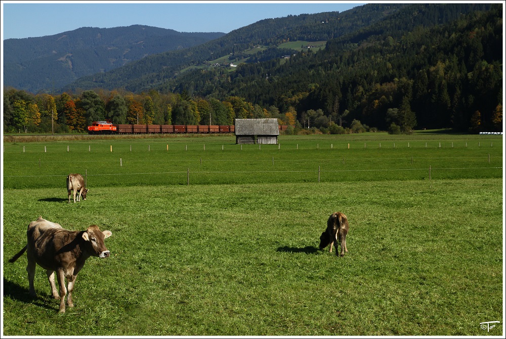 1020 037 der GEG fhrt mit dem Planstrom SDZ von Linz-Stahlwerke nach Bischofshofen. 
Pruggern 4.10.2010 


