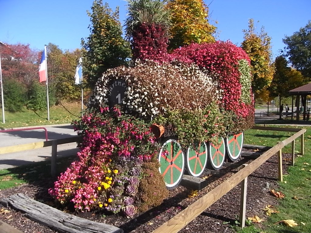 11. 10. 10. Eine Blumenlok in Schluchsee. 