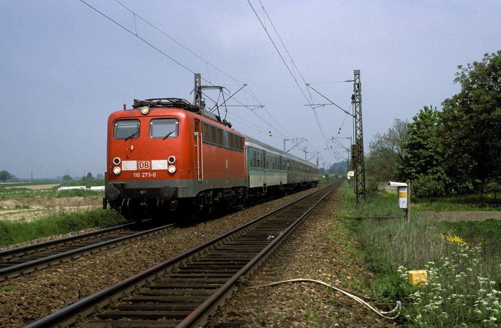 110 273  bei Baden - Baden  01.05.00