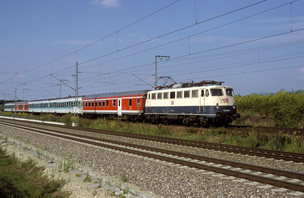 110 290  bei Appenweier  13.08.99