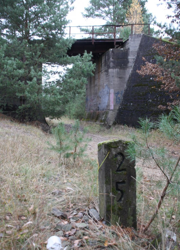 11.11.12 Eberswalde, Verbindungskurve der Strecke von Bad Freienwalde nach Angerm�nde und �berquerung Anschlu� Binnenhafen.