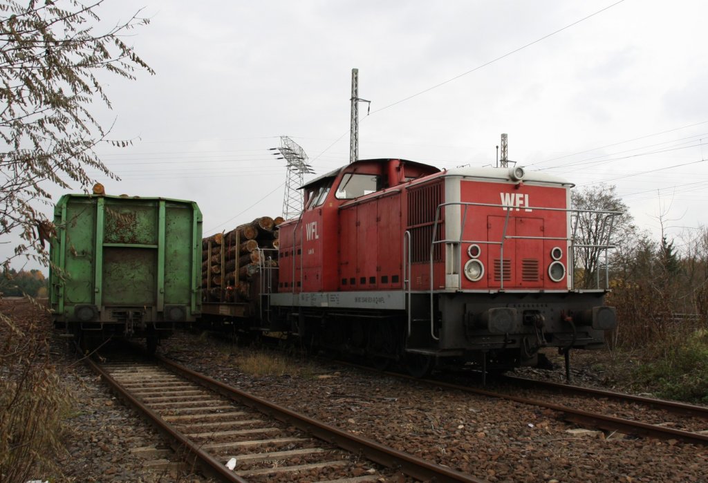 11.11.12 Eberswalde. WFL 346 931-6 abgestellt vor Holzzug.