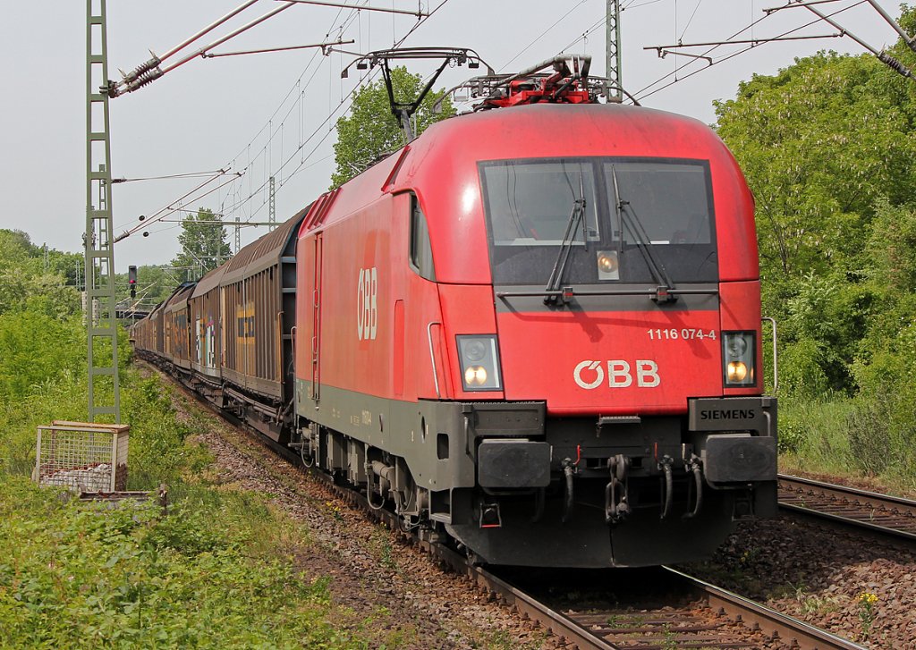 1116 074-4 der BB am Transwagon in Bonn Oberkassel am 06.05.2011
