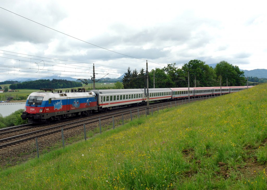 1116 084  EM-Russland  mit einem EC nach Budapest am 16.05.2009 unterwegs bei Seekirchen am Wallersee.