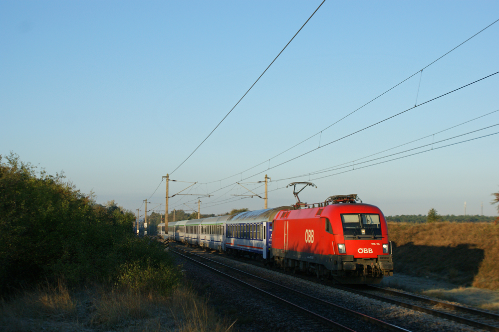 1116 115 mit dem IC 104  Sobieski  von Wien Meidling nach Warszawa Waschodnia. Hier in der schnen Morgensonne zwischen Deutsch-Wagram & Helmahof.
15.10.2011