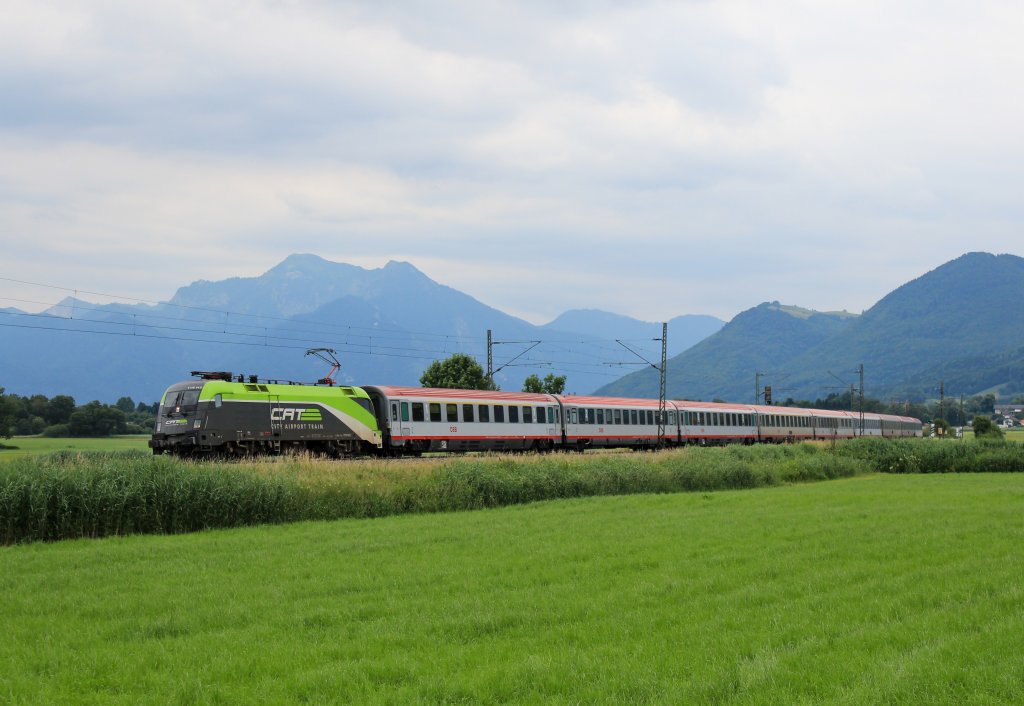 1116 142  CAT  mit dem EC 112 von Klagenfurt nach Frankfurt am 3. Juli 2013 bei Weisham.