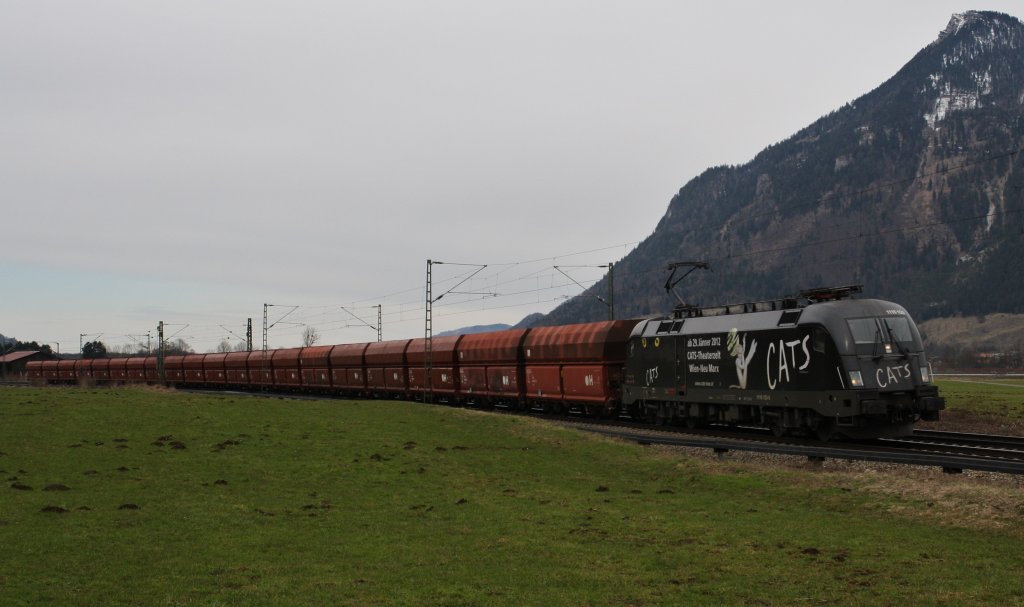 1116 153-6 ``Cat´s`` der BB bringt am 20.3.2013 einen Kalkzug nach Wrgl, dieser wird dann nach Kirchbich ins Kalkwerk gebracht. Hier bei Niederaudorf.
