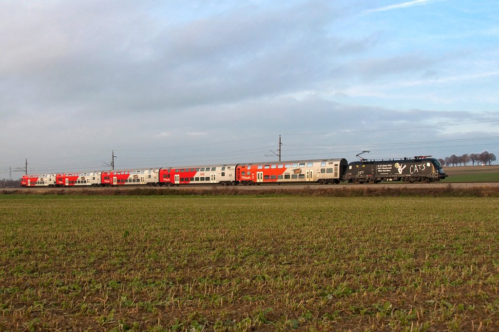 1116 153  Cats  ist mit R 2245 zwischen Sierndorf und Ober Olberndorf Richtung Wien unterwegs. Die Aufnahme enstand am 26.11.2011.