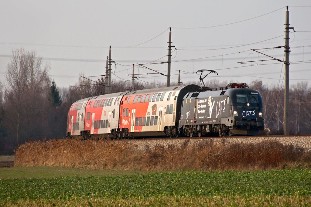 1116 153  CATS , unterwegs mit R 2245 kurz nach Sierndorf, am 26.11.2011.