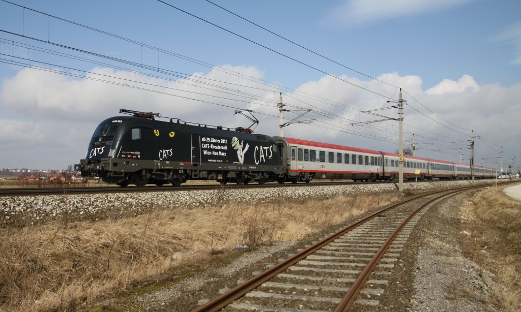 1116 153 Cats-Werbelok vor OEC 864 unterwegs auf der Westbahn. Aufgenommen bei Hrsching am 27.02.2012.