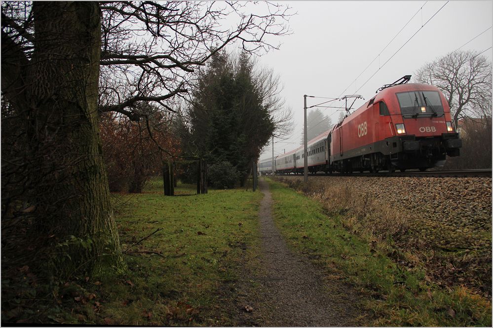 1116 169 mit EN 491  Hans Albers  (Hamburg Altona/Kln Hbf-Wien West) am Morgen des 28. November 2012 im Bogen zwischen Drrwien und Pressbaum.