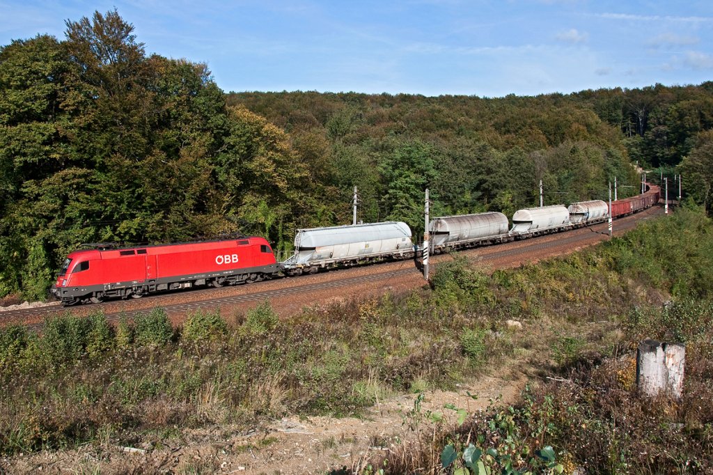 1116 176 ist mit einem Leerrbenzug zwischen Rekawinkel und Eichgraben-Altlengbach unterwegs. Die Aufnahme enstand am 15.10.2011.