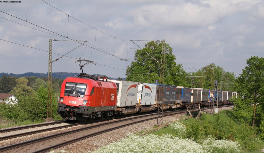 1116 186-6 mit einem KV Zug bei Weiching 18.5.13