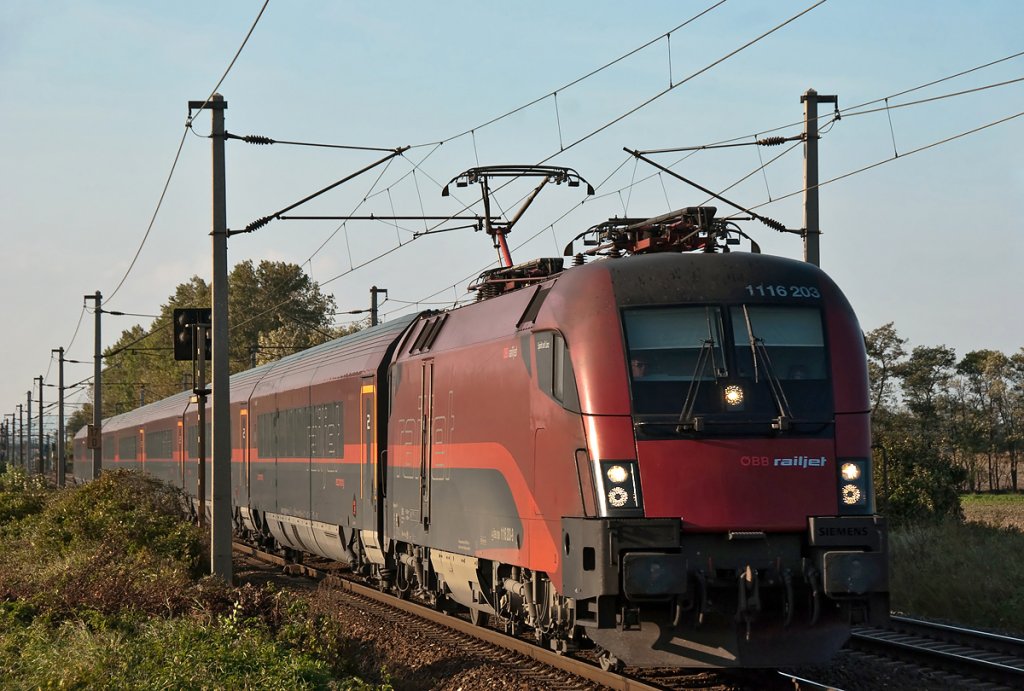 1116 203  Spirit of Linz  ist mit railjet 65 zwischen Himberg und Gramatneusiedl unterwegs. Die Aufnahme entstand am 08.10.2010.