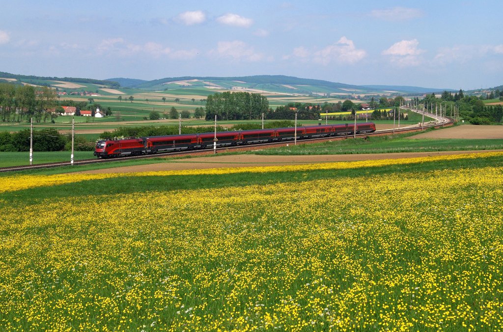 1116 204 mit RJ 64 bei Schnfeld (11.05.2010)