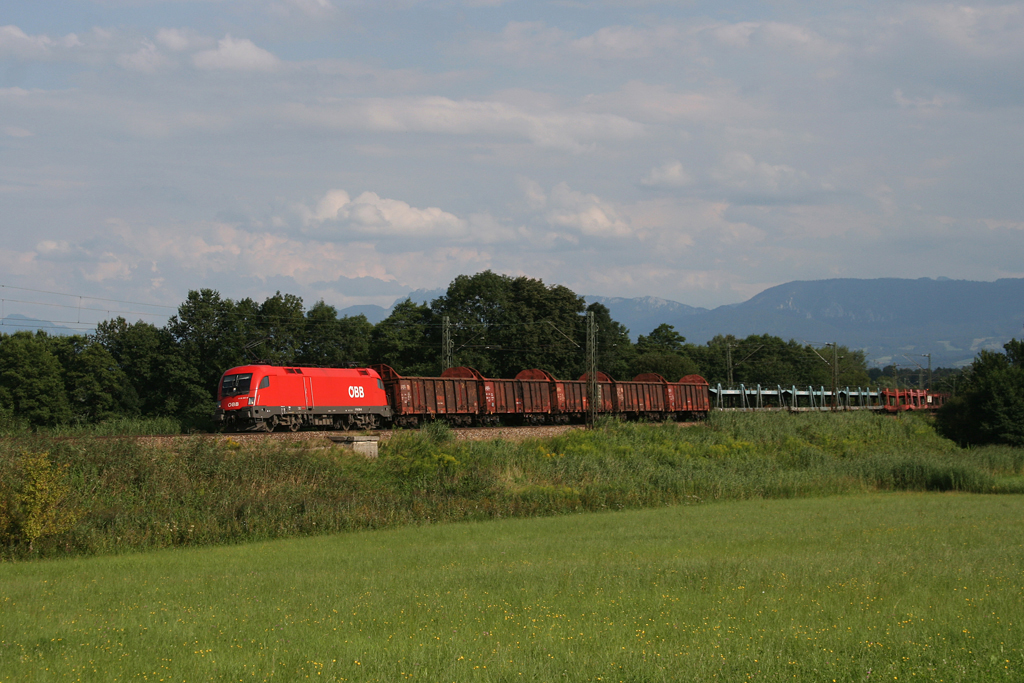 1116 231 mit dem G�terzug 44816 (Salzburg Gnigl – M�nchen Nord) am 10.08.2010 bei Gro�karolinenfeld.