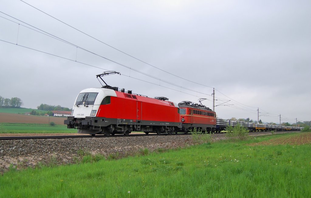1116 246 und 1142 566 sind am 06.05.2010 mit einem
Gterzug kurz vor Wartberg/Kr.zu sehen gewesen.