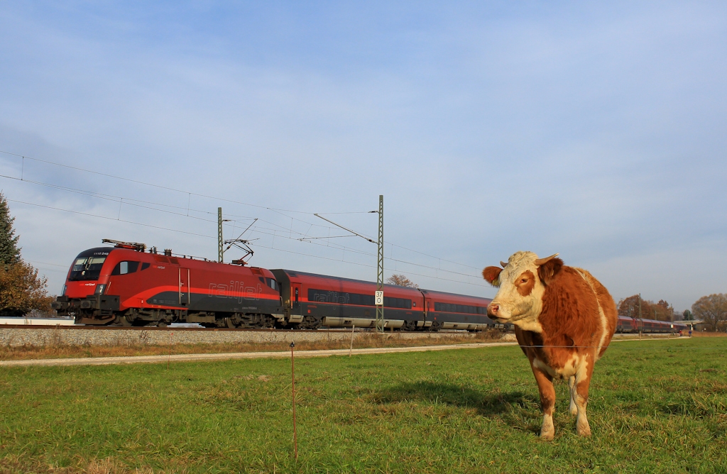 1116 248 mit einem RJ auf dem Weg nach Mnchen. Aufgenommen am 18. November 2012 bei bersee (Chiemsee).