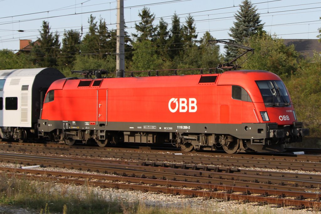 1116 268-2 Sdbahnstrecke bei Kottingbrunn. 29.8.2012