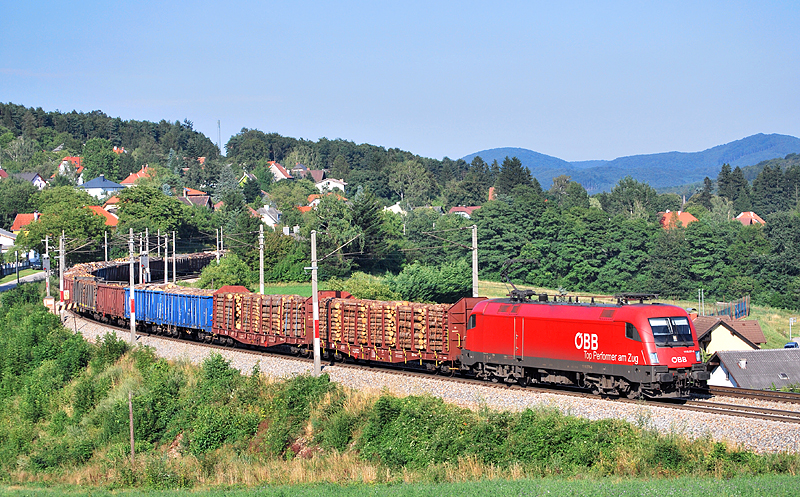 1116 271  Top Perfomer  samt gut beflltem Holzzug kurz vor der Durchfahrt in Drrwien am 2.8.2010.