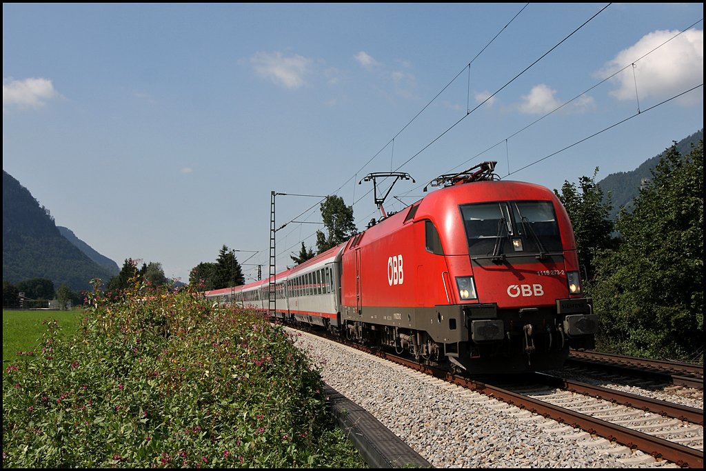 1116 273 ist mit dem OEC 564 „Universitt Salzburg“, Wien Westbahnhof – Bregenz, bei Niederaudorf unterwegs. (05.08.2009)