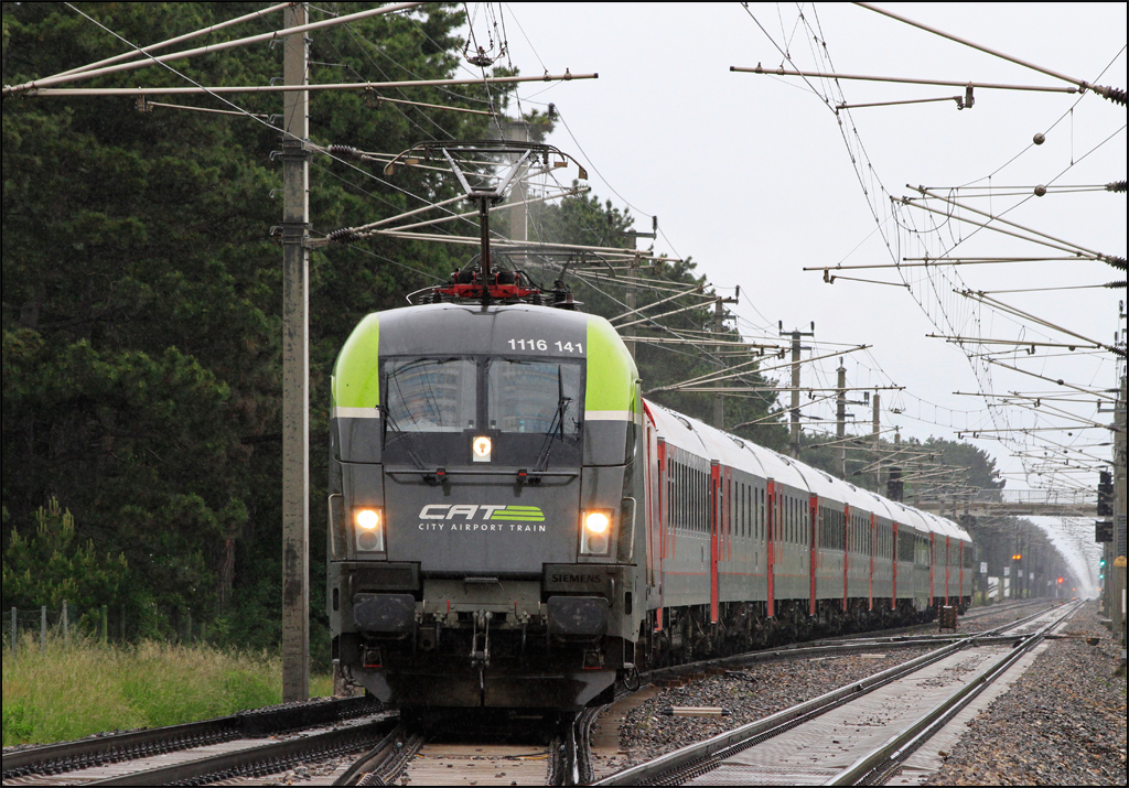 1116.141 CAT mit dem Russenzug 13017 am 31.05.13 bei der Einfahrt in den Bahnhof Neunkirchen/N.