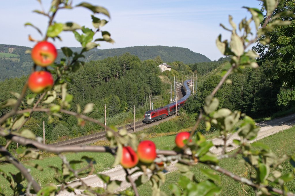 1116.238 als RJ-656 fhrt entlang der Apfelwiesen bei Eichberg richtung Wien. 21.9.12