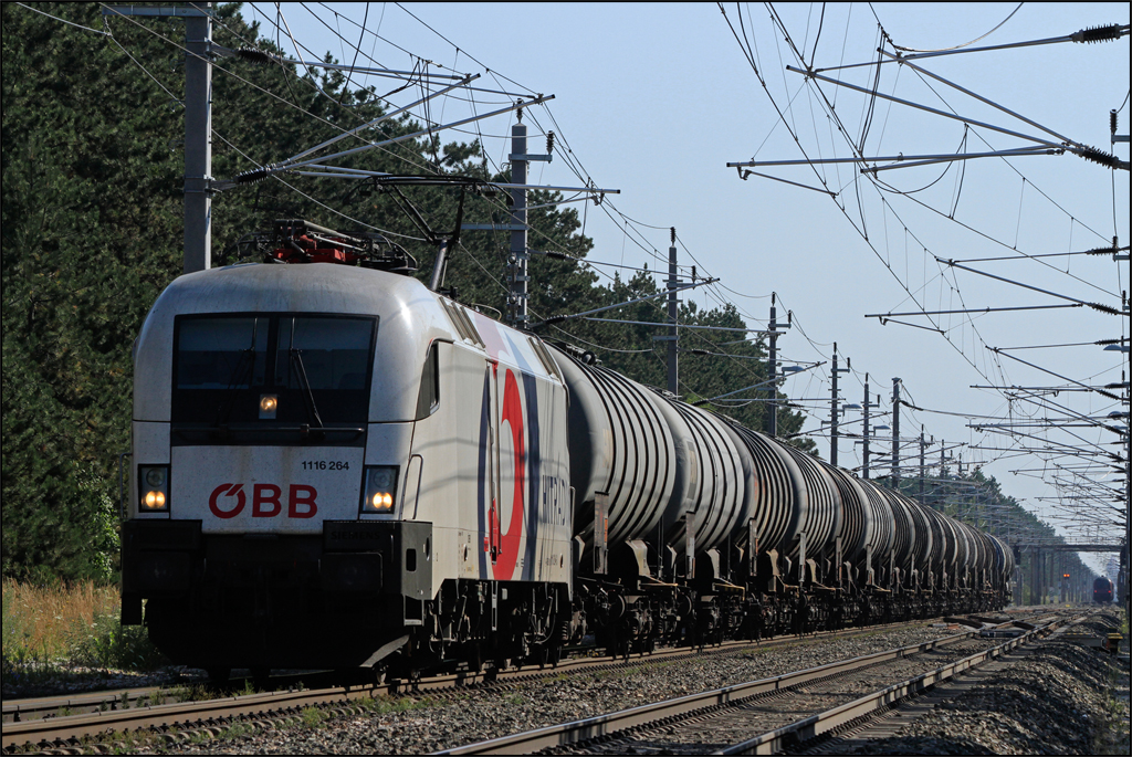 1116.264 fhrt am 24.07.13 mit Kesselwagenzug durch den Fhrenwald, und erreicht soeben die Hst. St.Egyden.
