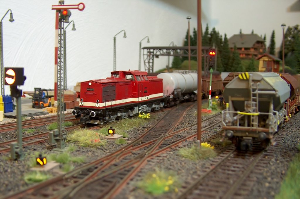 114 401-3 (Roco) mit Gz 