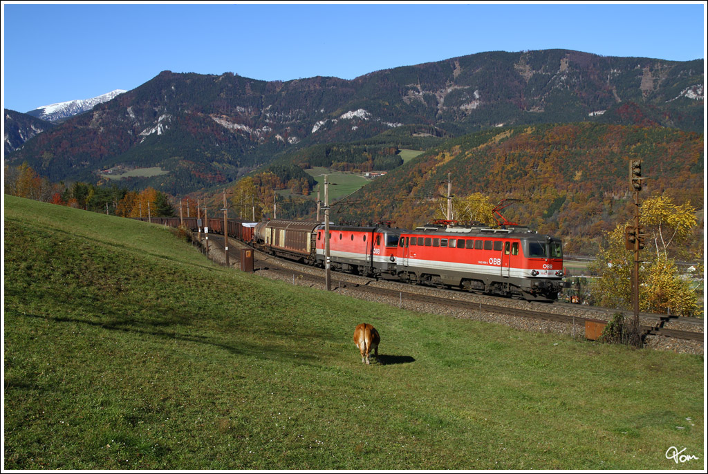 1142 609 + 1144 005 ziehen den Gterzug 54507 (Wien Zvbf -Villach) ber die  Apfelwiese nahe Eichberg. 
29.10.2010