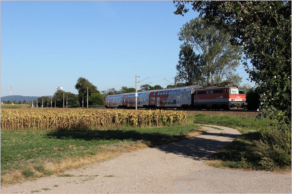 1142 658 am 28. August 2012 mit REX 2114 kurz vor Tulln.