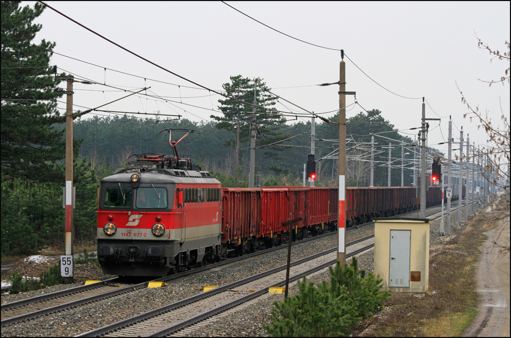 1142.677 fuhr am 03.04.13 mit einem Gterzug durch den Fhrenwald (Hst. St.Egyden) Richtung Wr.Neustadt.
