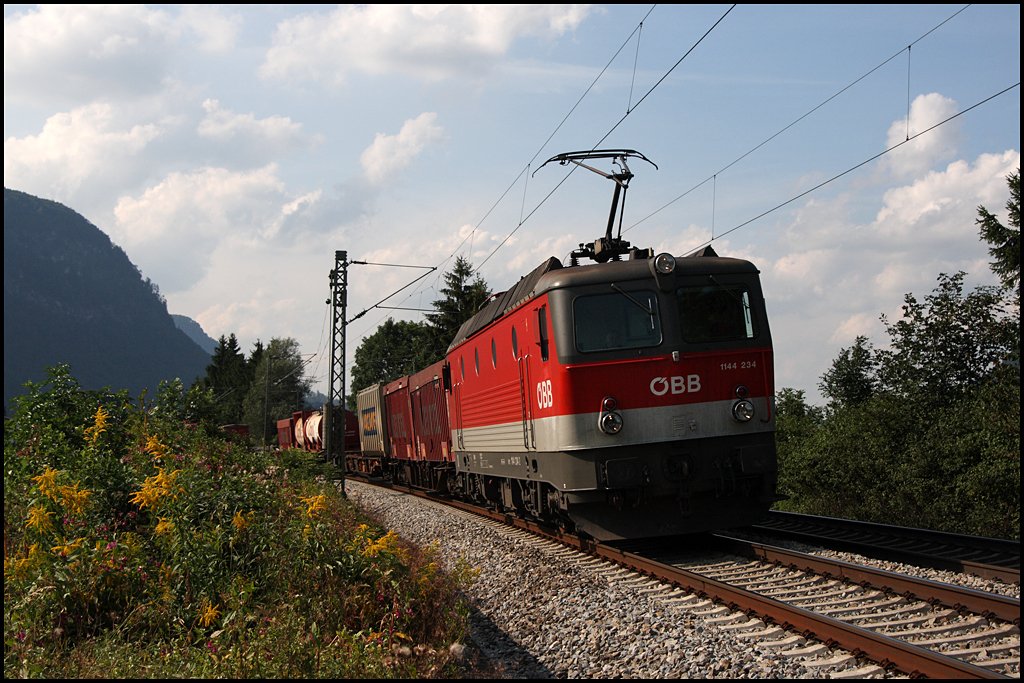 1144 234 (9181 1144 234-2) legt sich mit einem KLV-Zug in die Kurve. (08.08.2009)