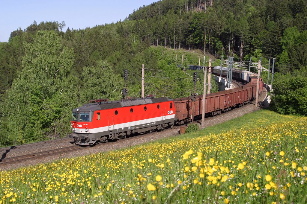 1144.120 mit G-55062 bei der frisch blhenden Apfelwiese am Eichberg. 15.5.13