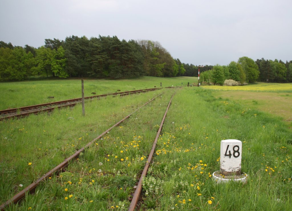 11.5.2013 Sternebeck. Km 48 Blickrichtung Wriezen
