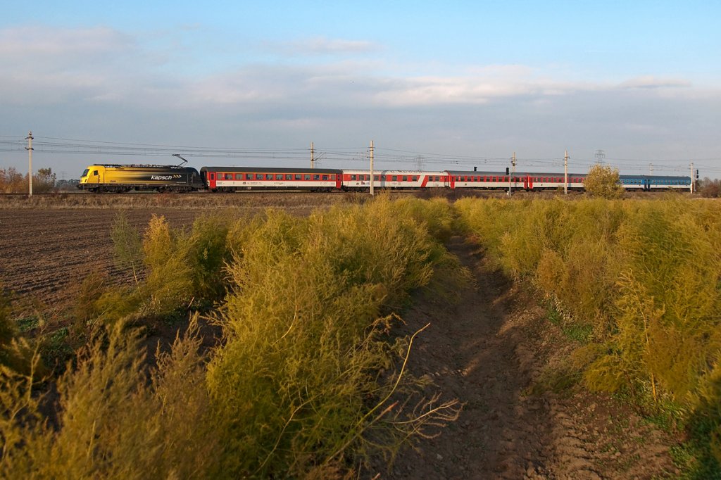 1216 210  Kapsch , ist am 05.11.2011 mit dem EC 77  Antonin Dvorak  von Prag nach Wiener Neustadt unterwegs. Die Aufnahme enstand im zarten Novembersonnenlicht zwischen Deutsch Wagram und Wien Senbrunn.